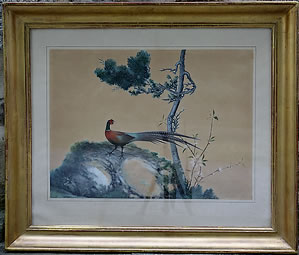 Faisan-chinois-Oiseau-Encres-aquarelle-soie-Chine-Dynastie-Qing