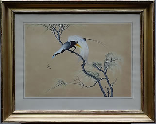 Encre aquarelle chinoise sur velin représentant un oiseau de paradis, chine dynastie qing