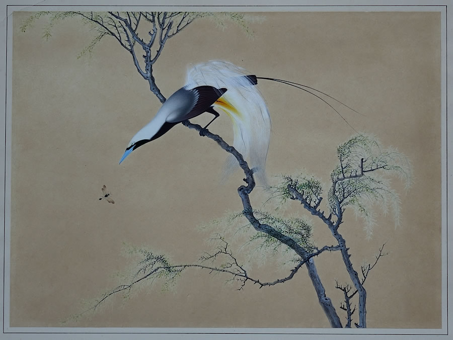 Peinture-oiseau-exotique-encres-chinoise-ancienne-Chine
