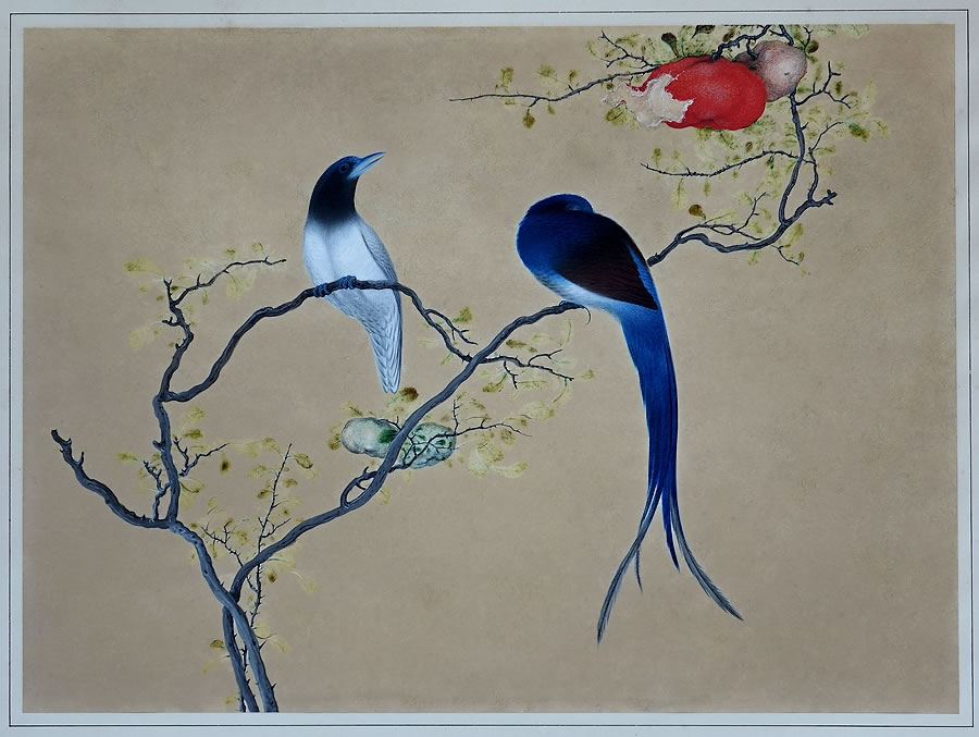 ancienne-peinture-chinoise-soie-vélin-oiseaux-encres-Chine-Qing