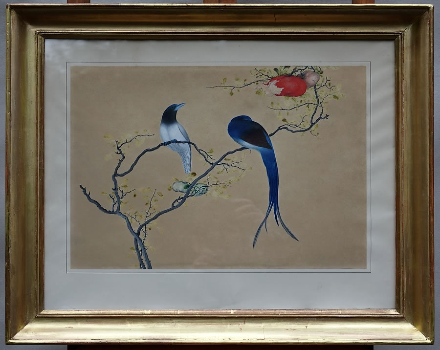 peintures-oiseaux-encres-chinoise-anciennes