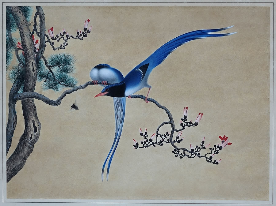ancienne-peinture-chinoise-soie-vélin-Oiseaux-de-paradis-Chine