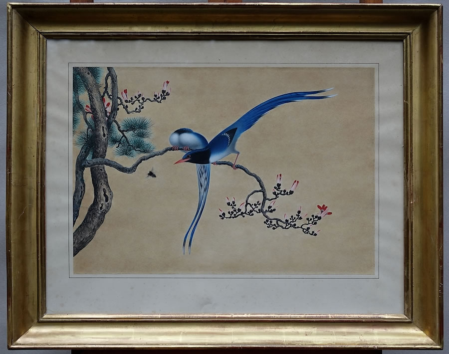 peintures-oiseaux-encres-chinoise-anciennes-art-asiatique