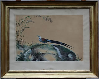 Pie-de-Paradis-Oiseau-Encres-aquarelle-peinture-soie-Chine-Dynastie-Qing