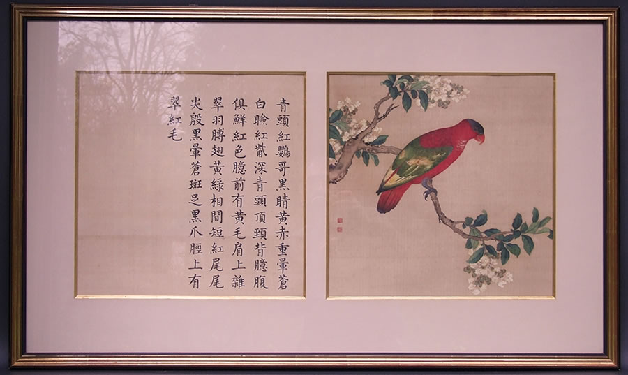 Ancienne-peinture-chinoise-oiseau-fleurs